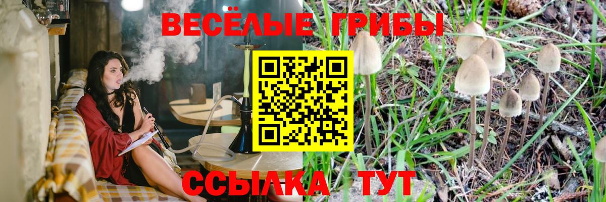 Псилоцибиновые грибы ЛСД Орёл